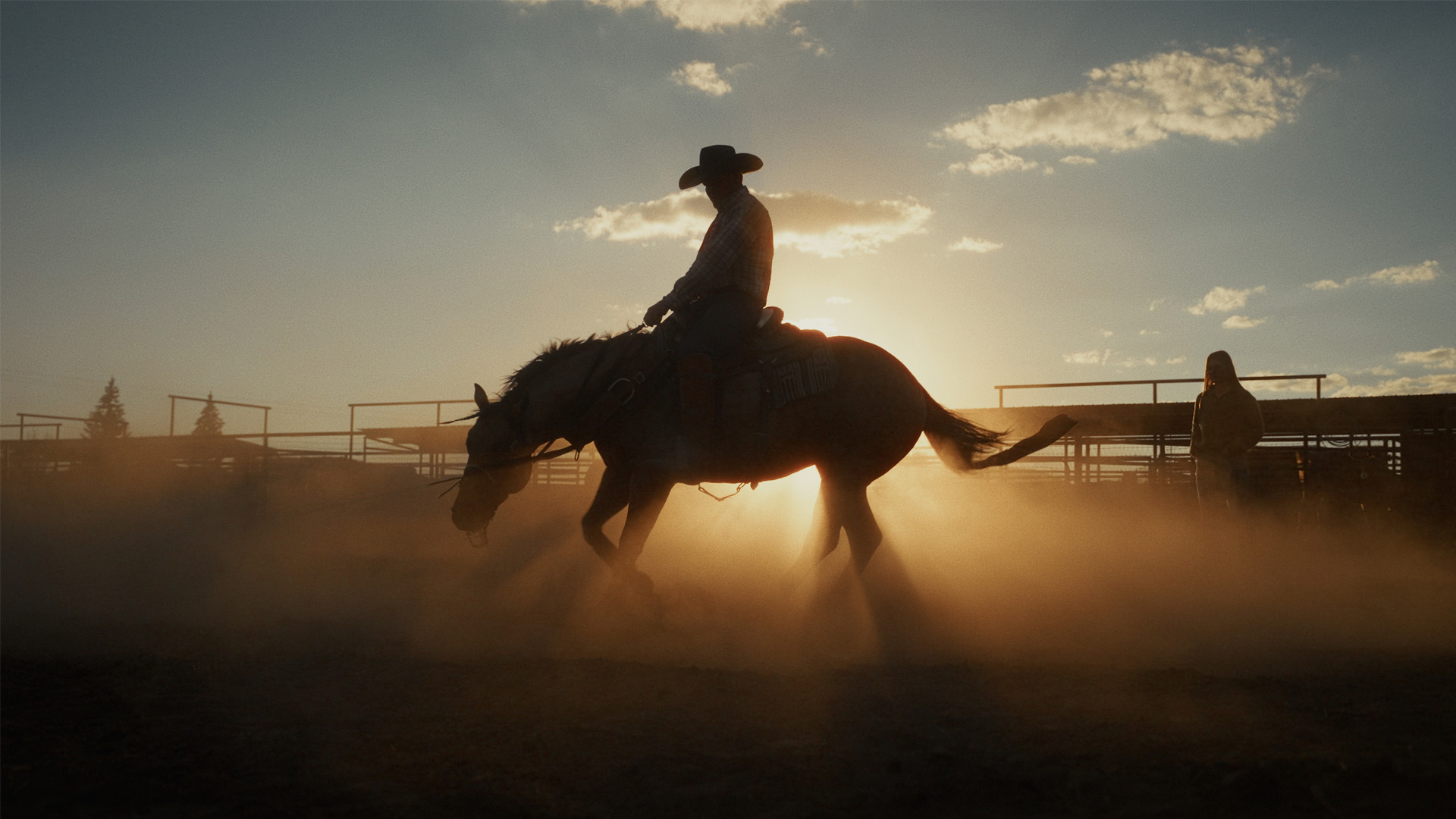 Capture One Seth Stern